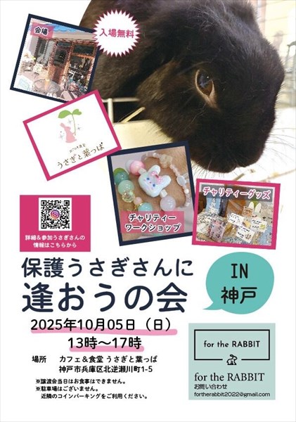 （10/5）保護うさぎさんに逢おうの会in神戸
