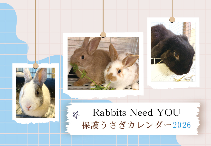 チャリティグッズ