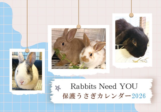 2026年版カレンダー