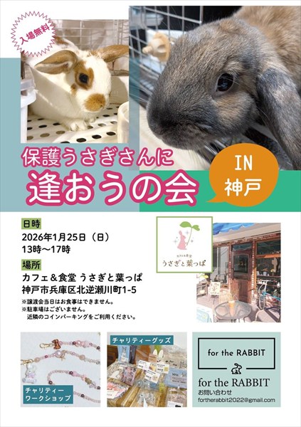 （1/25）保護うさぎさんに逢おうの会in神戸