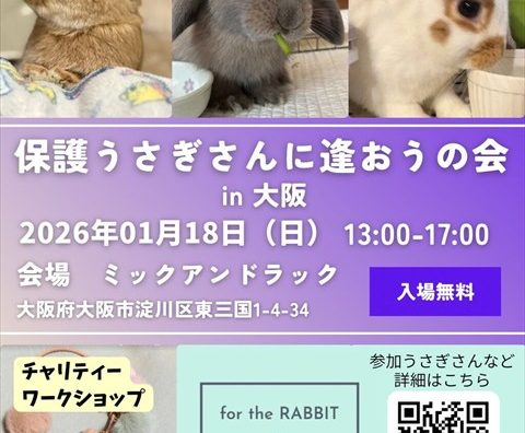 （1/18）保護うさぎさんに逢おうの会in大阪