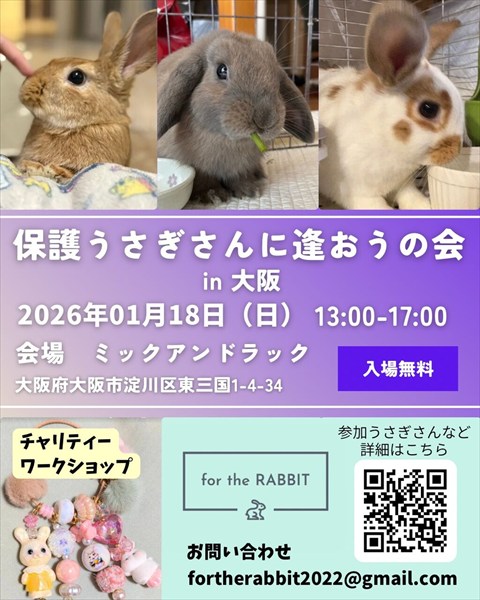 （1/18）保護うさぎさんに逢おうの会in大阪