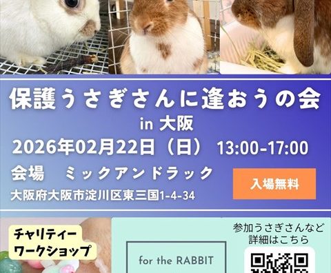 （2/22）保護うさぎさんに逢おうの会in大阪