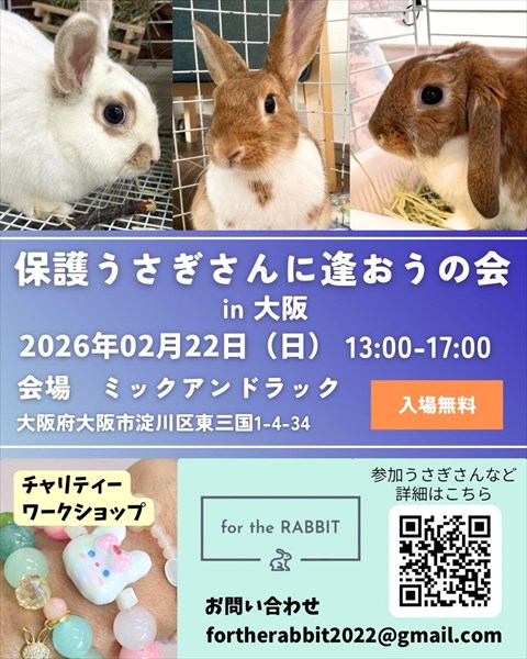 （2/22）保護うさぎさんに逢おうの会in大阪