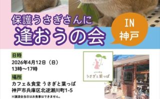 （4/12）保護うさぎさんに逢おうの会in神戸