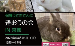 （4/5）保護うさぎさんに逢おうの会in京都