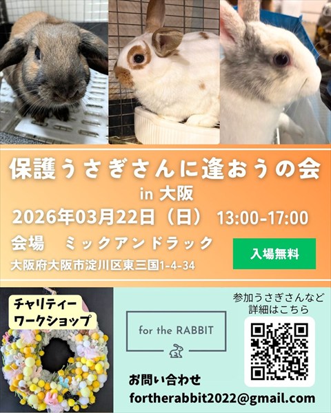 （3/22）保護うさぎさんに逢おうの会in大阪