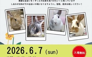 保護うさぎさんに逢おうの会～しあわせ日和～