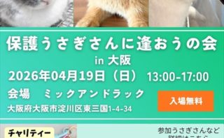 保護うさぎさんに逢おうの会in大阪