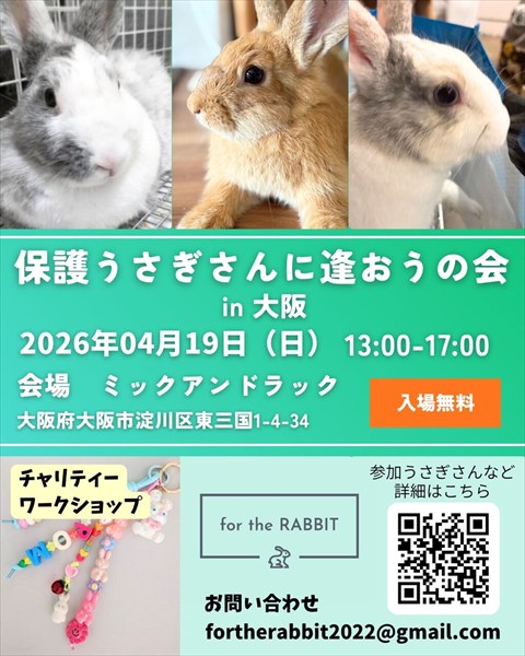 保護うさぎさんに逢おうの会in大阪