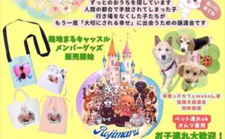 （4/26）路地まる もったいないバザー＆保護うさぎ譲渡会