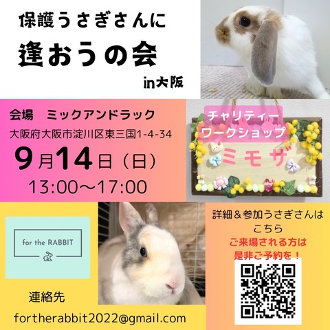 9/14）保護うさぎさんに逢おうの会in大阪 | for the RABBIT別館